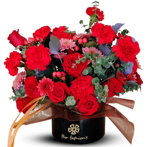 Dianthus